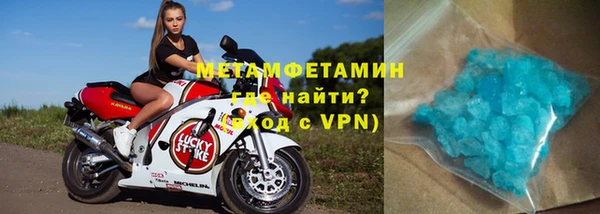 шишки Верея