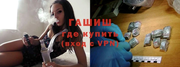 шишки Верея