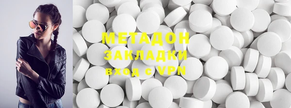 шишки Верея
