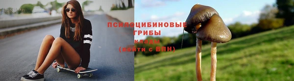 spice Бугульма