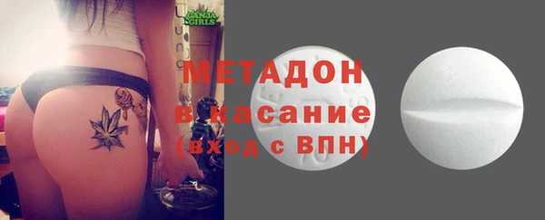 шишки Верея