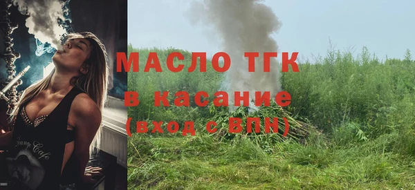 шишки Верея