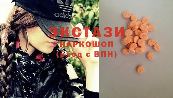 шишки Верея