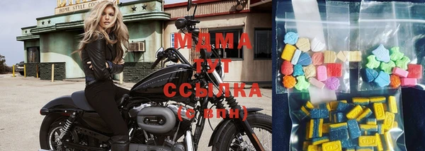 сатива Бородино