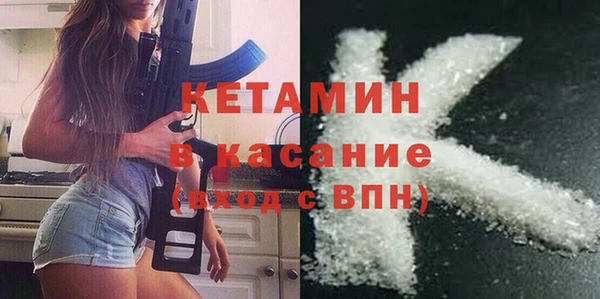 шишки Верея