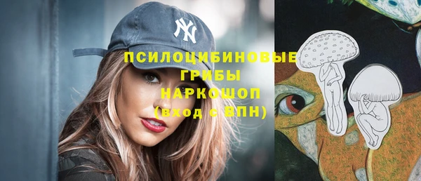 сатива Бородино