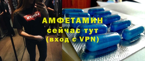шишки Верея