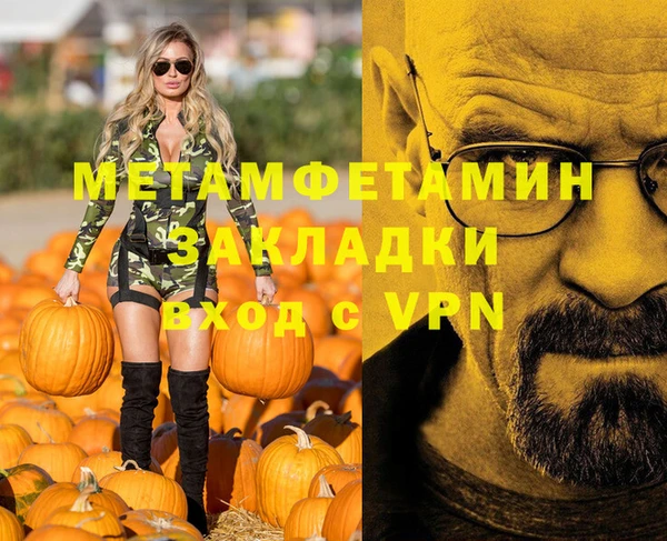 шишки Верея