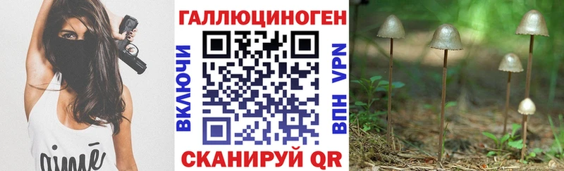 Псилоцибиновые грибы прущие грибы  гидра зеркало  Владикавказ  магазин   
